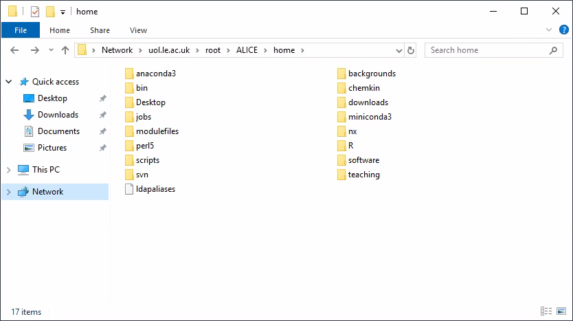 Windows Explorer window showing an ALICE home directory contents